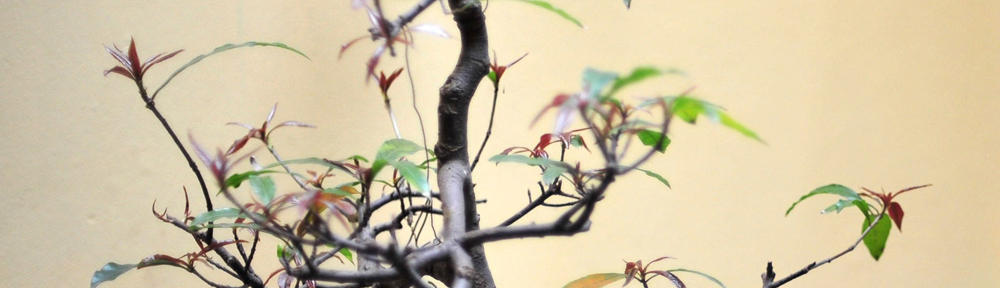 Zulkarnain Siregar, ST, MM